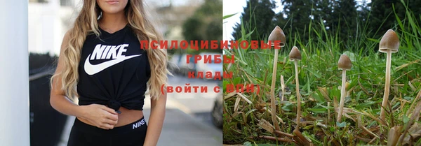 марки nbome Бородино
