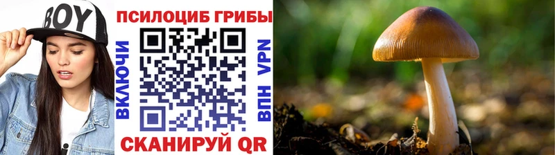 Галлюциногенные грибы GOLDEN TEACHER Холм