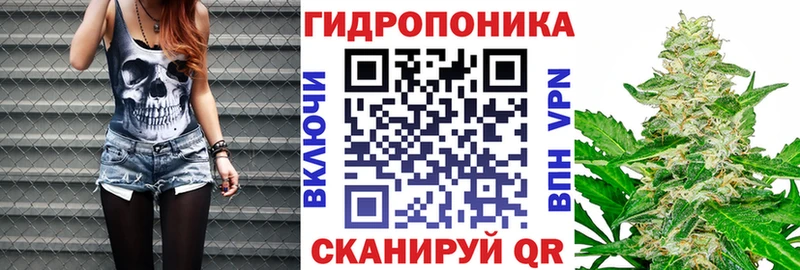 Шишки марихуана VHQ  Холм 